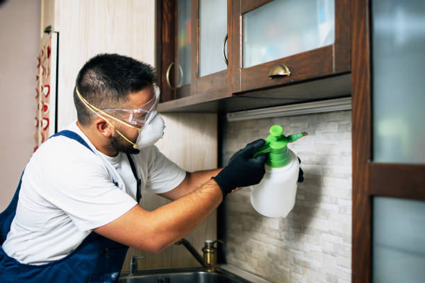 Best Wasp Removal Services  in Staten Island, NY