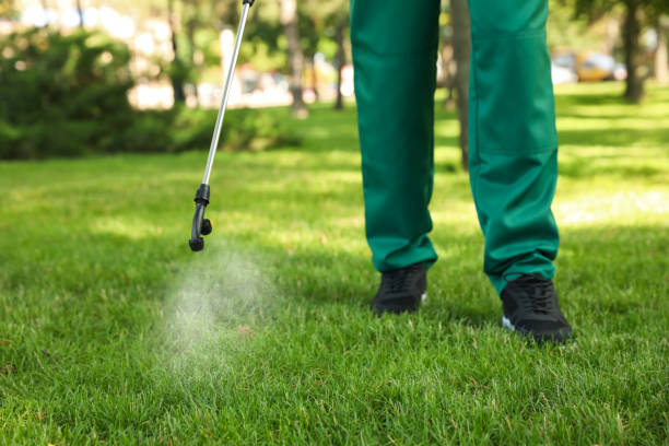 Best Local Pest Control Services  in Staten Island, NY