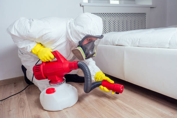 Best Rat Extermination Near Me  in Staten Island, NY