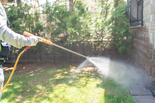 Best Termite Control Services  in Staten Island, NY