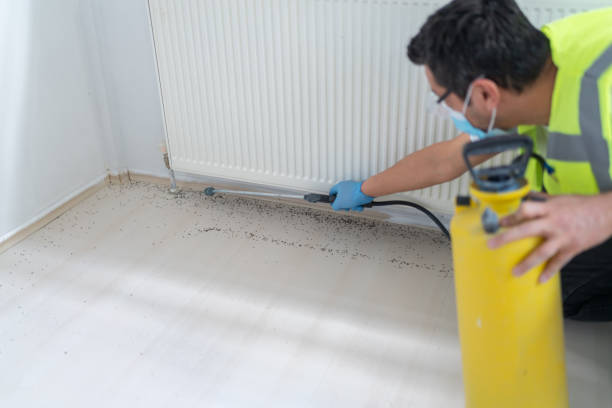 Best Residential Pest Control  in Staten Island, NY
